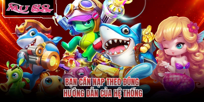 Bạn cần nạp theo đúng hướng dẫn của hệ thống