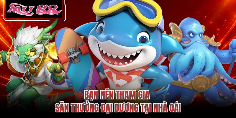 Bạn nên tham gia săn thưởng đại dương tại nhà cái