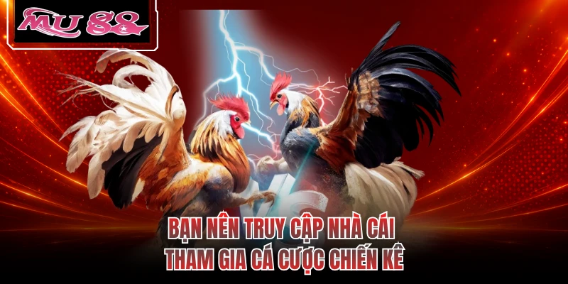Bạn nên truy cập nhà cái tham gia cá cược chiến kê