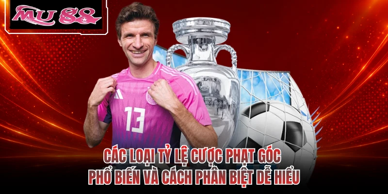 Các loại tỷ lệ cược phạt góc phổ biến và cách phân biệt dễ hiểu