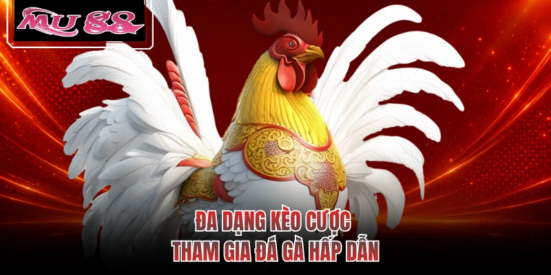 Đa dạng kèo cược tham gia đá gà hấp dẫn