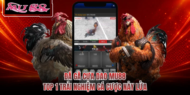 Đá Gà Cựa Dao MU88 - Top 1 Trải Nghiệm Cá Cược Nảy Lửa