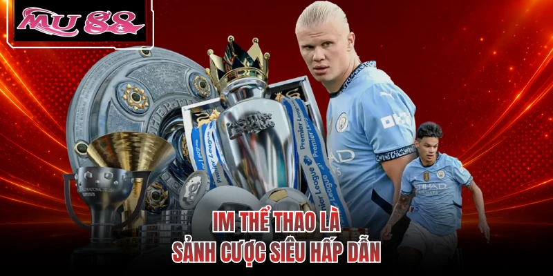 IM thể thao là sảnh cược siêu hấp dẫn
